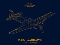 P-40N Warhawk - The Royal Class